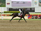 Bunker dominó el Victoreado y cayó invicto de Star White