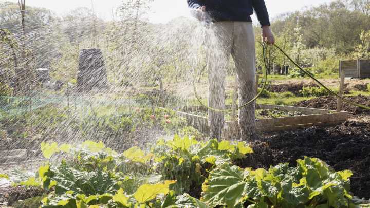 Millions From Garden Hose Brand Recalled. Is Yours One Of Them?