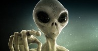 UFO expert 'warned off British Roswell' as he claims government axed talks about aliens
