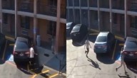 Pleito en el “cinco letras” termina fatal: hombre le apuñala y le corta la chola a su jefe