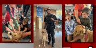 Pup from Erie County pound becomes school resource dog