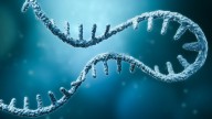Ionis Pharma’s Drug for Rare Disease With No Approved Therapies Meets Goals of Pivotal Study