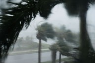 Citizens Insurance seeing fewer lawsuits from South Florida