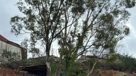 Drones con drogas desde Marruecos: el nuevo negocio de los narcos