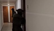 Prisión preventiva para prestamistas colombianos