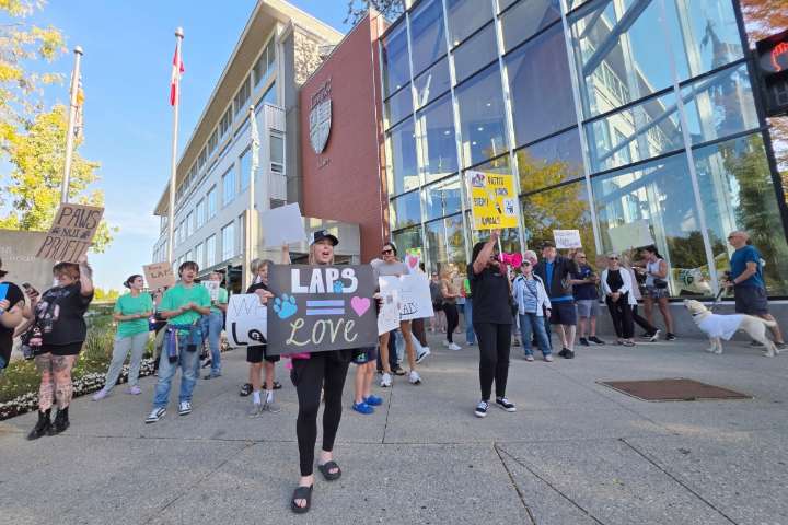 VIDEO: Shelter supporters picket Langley Township city hall