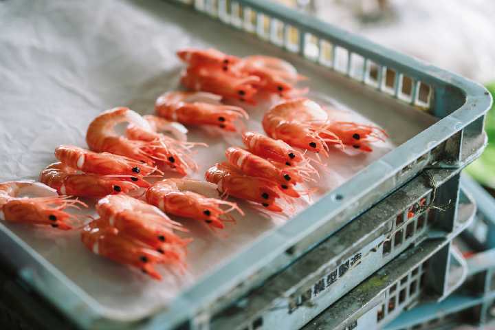 Food inflation to spike as suppliers can ‘no longer absorb’ costs, FDF warns