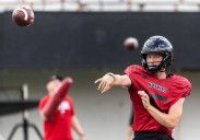Northern Illinois loses to Mississippi State 38