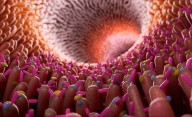 No está solo en la cabeza: dónde está el "segundo cerebro" del cuerpo humano
