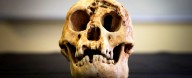 Scientists Finally Reveal Why 'Hobbits' Were So Small