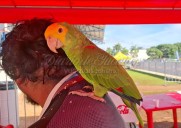 “Loro modelista” da su “bendición” a un joven atleta