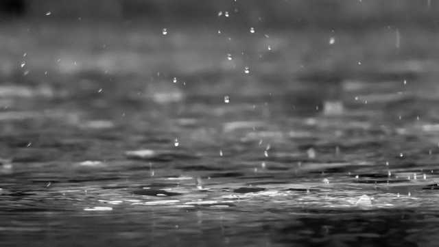 South Carolina: Warmer temperatures and storm chances