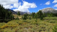 Forest service invests millions in North Idaho and Missoula regions for wildfire defense