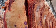 Revés para el Gobierno: la Justicia suspendió la resolución que habilitaba el ingreso de asado con hueso a la Patagonia