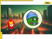 SHIB vs. LILPEPE: The New Meme Coin Race