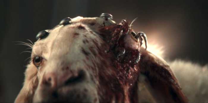 Recap: The ‘Alien: Earth’ Finale Needed More Eyeball
