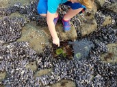 Oregon Coast: A place for high-key adventures or low