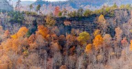 Ohio man dies after falling 40 feet at Red River Gorge