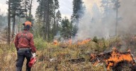 Cooler temps to help fight Munro Lake wildfire, most evacuation orders downgraded