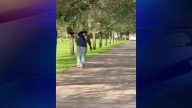 ‘You’re going to die’: Man arrested in Miami yelled at woman while pointing stolen gun, police say