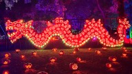 Jack O’ Lantern World announces second location in Chicago area
