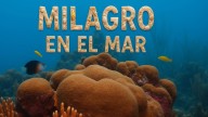 Milagro en el mar: antes de la gran noche