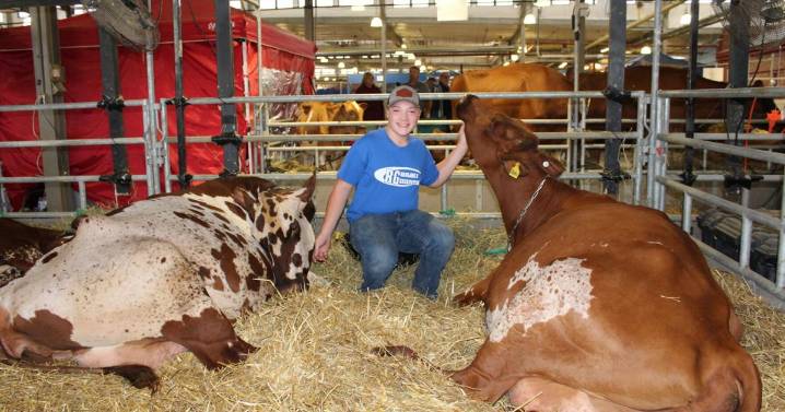 Triple T Farms Brings Home New York State Fair Ribbons in Cattle