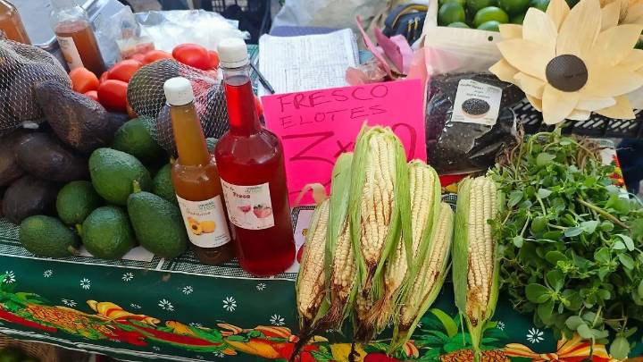 Productores mantienen viva la tradición del maíz en Nogales y Acultzingo