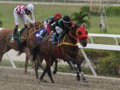 Interesante programa de carreras para este domingo