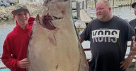 New Hampshire boy, 13, reels in 177-pound halibut while deep-sea fishing that may be a world record