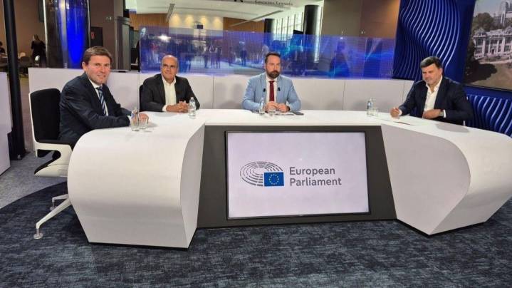Moeve lleva al Parlamento Europeo el potencial del Valle Andaluz del Hidrógeno Verde en la industria europea