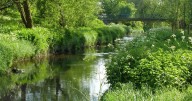Police probe after teen stabbed in busy park
