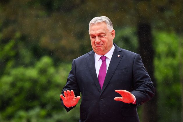 ‘Let him see what proper freedom looks like’ – says Roderic O’Gorman on Viktor Orban in Dublin for Aviva clash