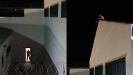 Intento de fuga en la cárcel de El Puerto: un preso hace un butrón, sube al tejado y amenaza con tirarse