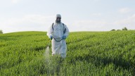 Europa nos puede dejar desprotegidos frente a los químicos tóxicos