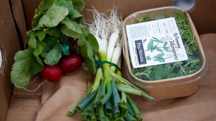 Prairie Fare: Do you know the six steps to fruit and vegetable safety?