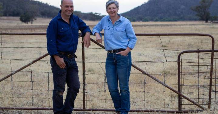 Stock containment feeding key amid dry conditions in NSW