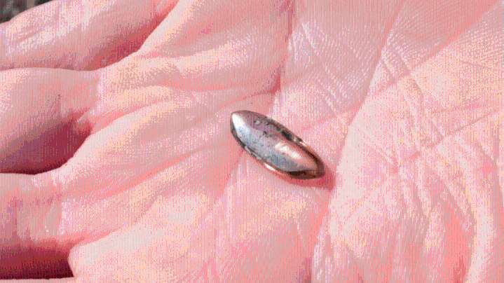 Family finds nearly 3-carat brown diamond at Arkansas park