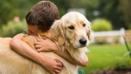 La ley que protege a los animales del maltrato y la crueldad