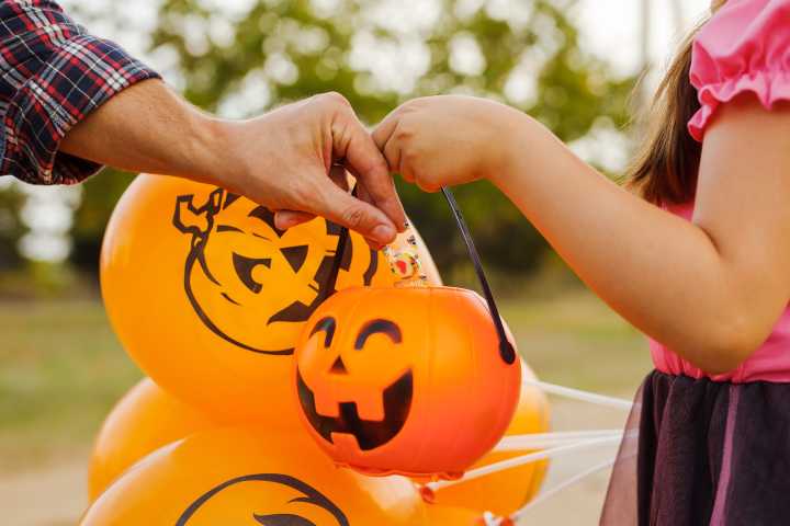 It’s Fall Y’all — pumpkin patches and events in Lee County