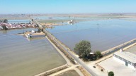 “El Último Oasis”, una mirada a la transformación de Doñana y al refugio del arrozal