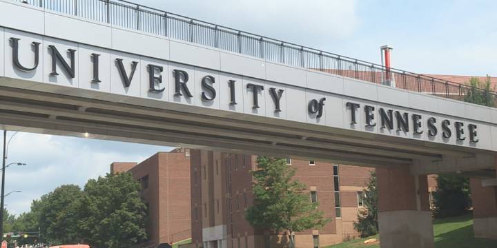 UT faculty member facing firing after assistant professor accused of celebrating Charlie Kirk’s death