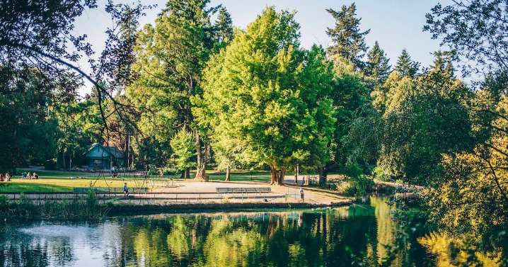 In Early Days, Parks Levy Campaign Rakes In $53,580