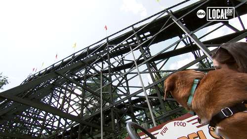 A tour of Knoebels Amusement Resort from a dog's POV