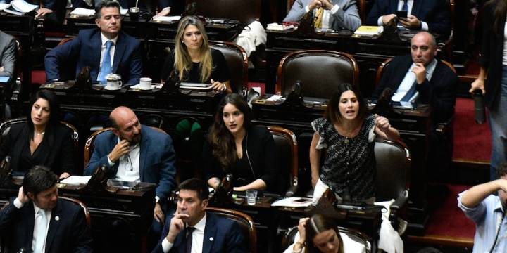 Quiénes definirán la suerte de los vetos de Milei al financiamiento del Garrahan y las universidades