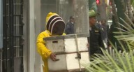 Jesús María: retiran dos colmenas con 80 mil abejas tras ataque a mujer 