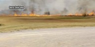 Business owner reacts after brush fire spreads close to building
