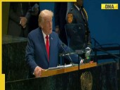 Donald Trump seeks ceasefire between Israel-Hamas, says, 'We have to...', blames