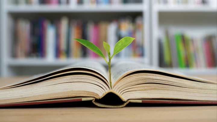 La obsesión por los libros de autoayuda, un arma de doble filo: "No te ayuda a salir de una depresión por arte de magia"