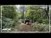 Hiking trails restored after Helene